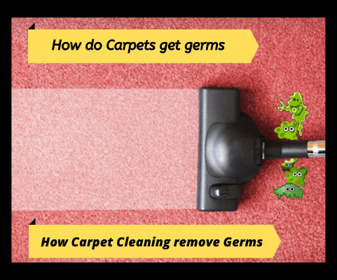 Carpets Host for diseases