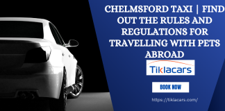 Chelmsford Taxi | Find out the Rules and Regulations for Travelling with Pets Abroad