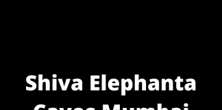 Shiva Elephanta Caves Mumbai