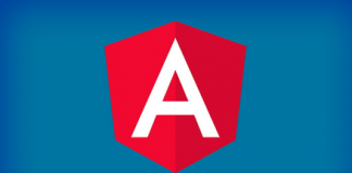 angular web developer skills