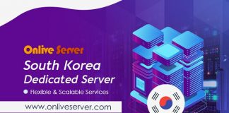 Onlive Server offers South Korea Dedicated Server at an Affordable Price