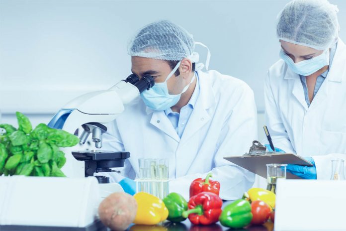 Tips for Hiring a Food Technologist for your Company