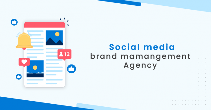 social media brand management agency
