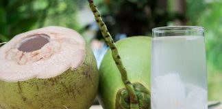 Coconut Can Help You Adopt A Healthy Lifestyle
