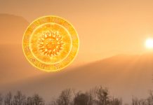 Importance of Sun in Vedic Astrology