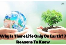 Why Is There Life Only On Earth? | Daily Nature Facts