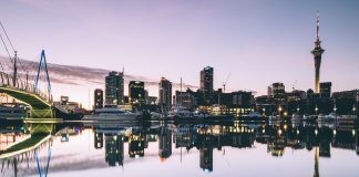 Amazing Things to do on Auckland