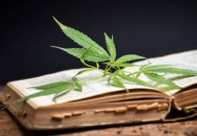 online cannabis education
